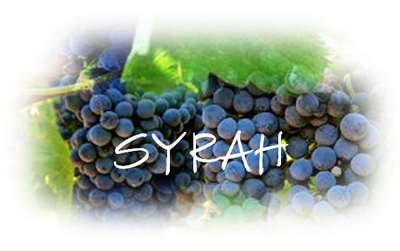 SYRAH