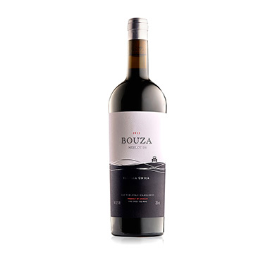 MERLOT B9 PARCELA ÚNICA-BODEGA BOUZA