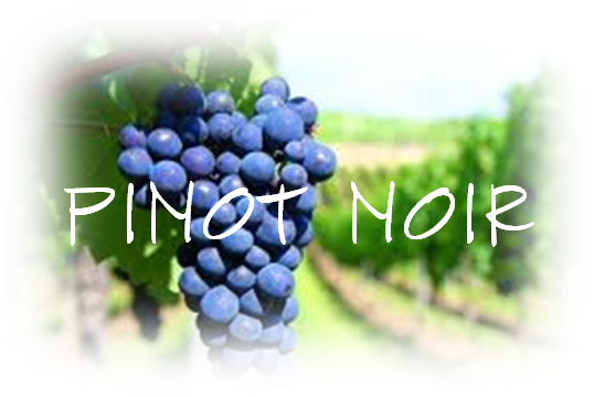 PINOT NOIR