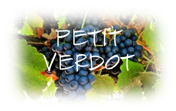 PETIT VERDOT