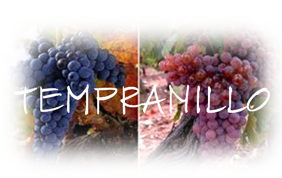 TEMPRANILLO