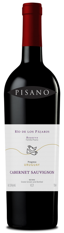 RIO DE LOS PAJAROS PINTADOS - CABERNET SAUVIGNON