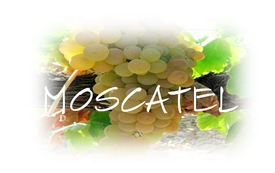 MOSCATEL