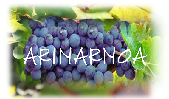 ARINARNOA
