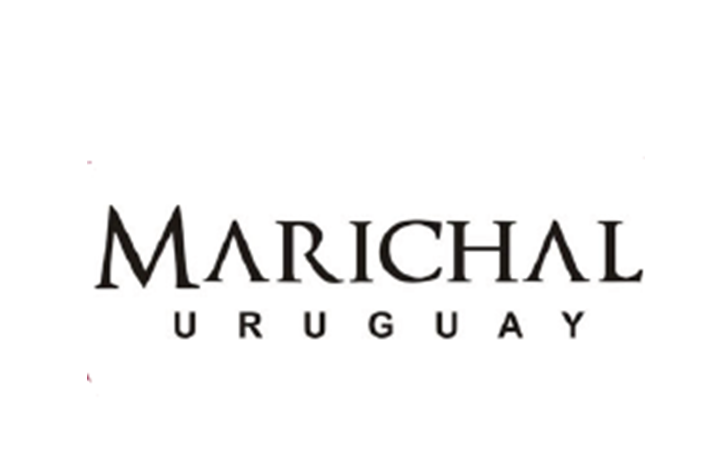 Bodega Marichal