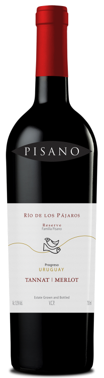 RIO DE LOS PAJAROS PINTADOS - TANNAT/MERLOT