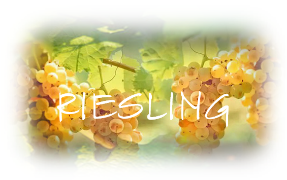 RIESLING