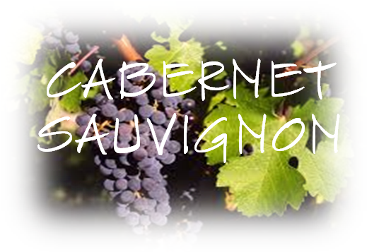 CABERNET SAUVIGNON