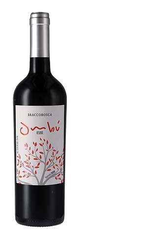 BRACCO BOSCA RESERVA TANNAT 