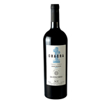 BODEGA CAMPOTINTO CHACRA 1 GRAN RESERVA TANNAT 750 ml
