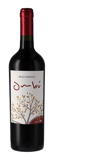 BRACCO BOSCA TANNAT CLASSIC