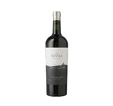 TANNAT PARCELA ÚNICA-BODEGA BOUZA